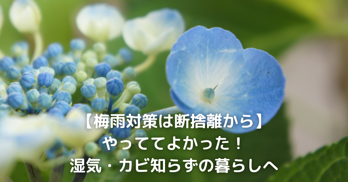 梅雨対策として断捨離をすることで、湿気・カビを防ぎ、快適な暮らしを実現する方法