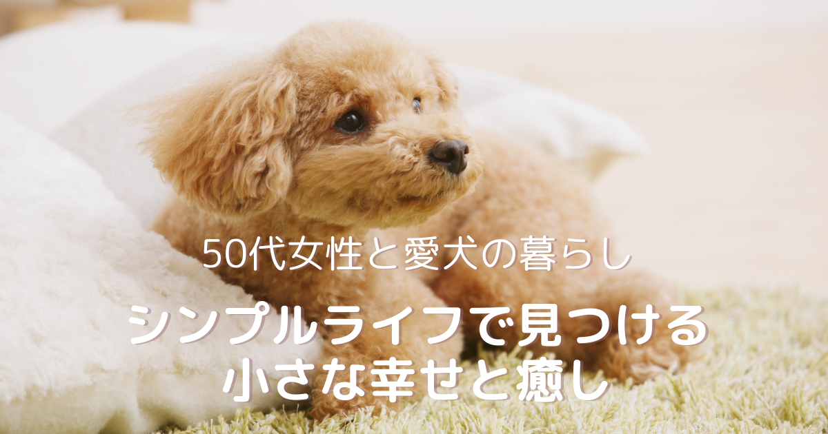 50代女性と愛犬のシンプルライフ｜小さな幸せと癒しを見つける穏やかな暮らし
